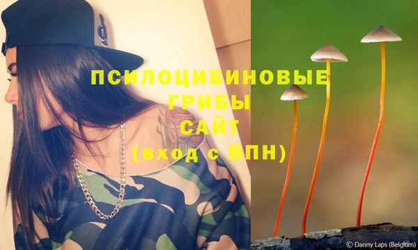 таблы Надым